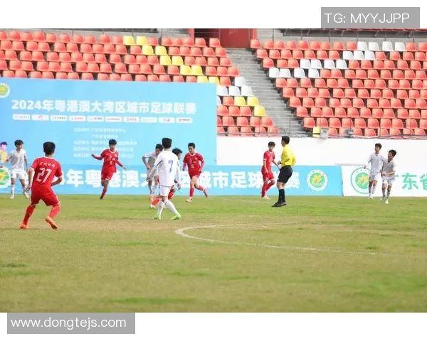 足球谢锋的传奇之路与中国足球的未来展望